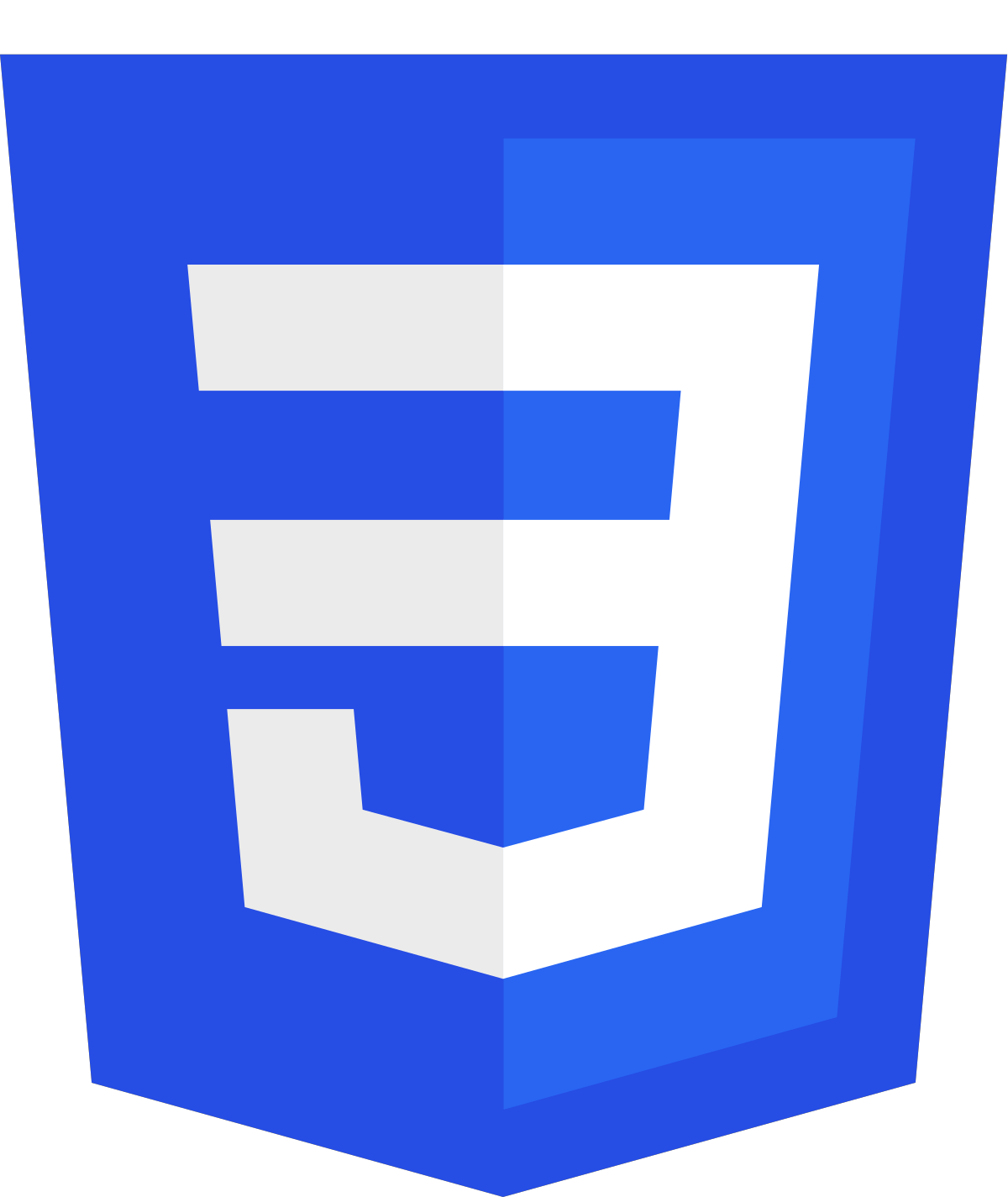 CSS Icon